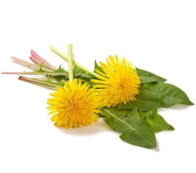Pissenlits pour la cautérisation des papillomes