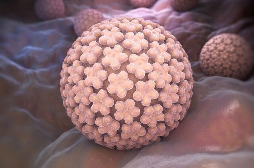 papillomavirus humain causant des verrues